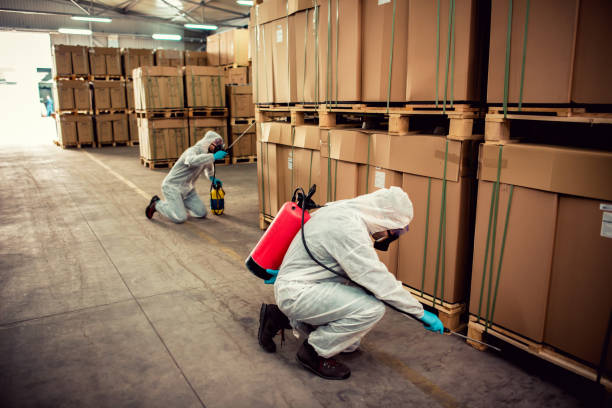 Best Mosquito Control Services  in Concord, MI