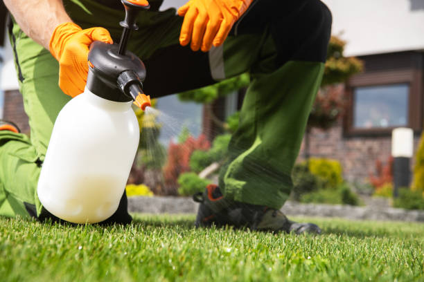 Best Emergency Pest Control  in Concord, MI