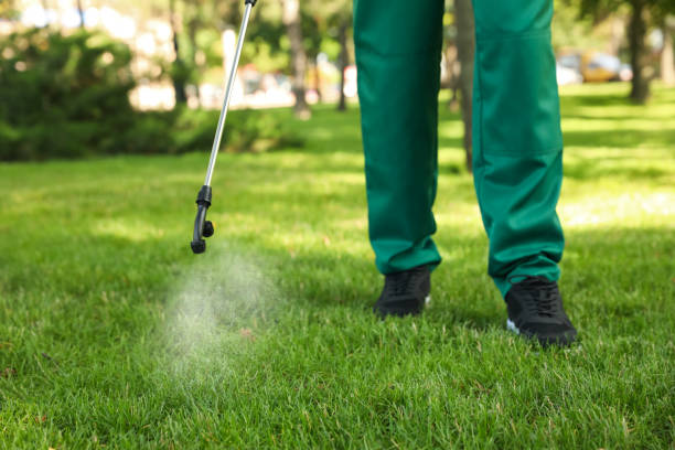 Best Termite Control Services  in Concord, MI
