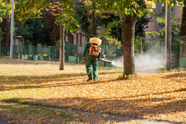 Best Bird Control  in Concord, MI