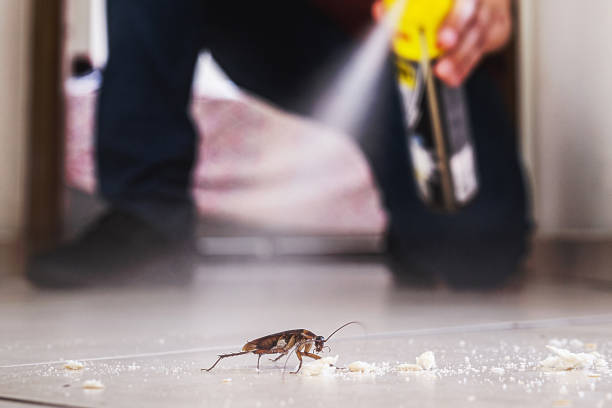 Professional Pest Control in Concord, MI