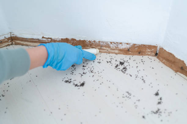 Best Commercial Pest Control Services  in Concord, MI