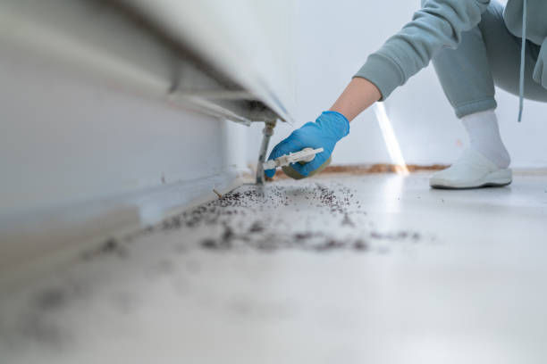 Best Pest Prevention Services  in Concord, MI